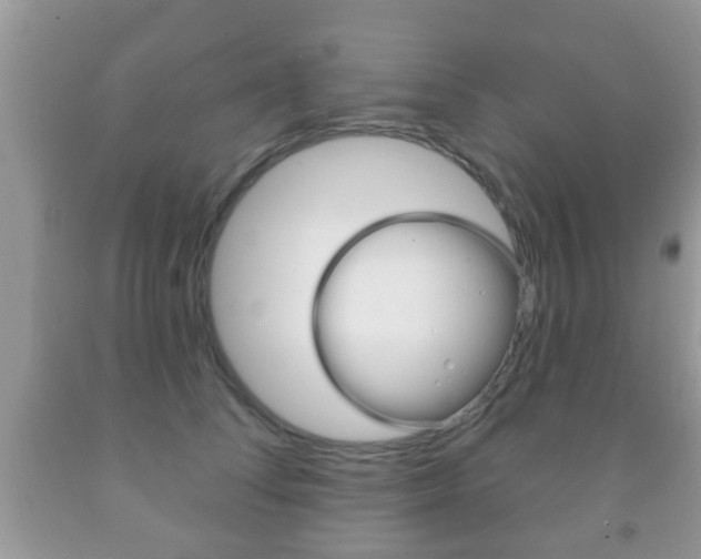 X0000091930708200709051241