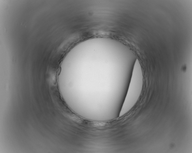 X0000091930709200709051241