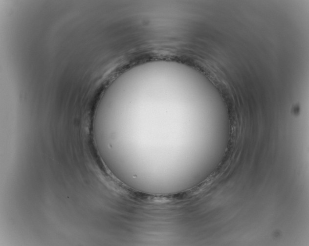 X0000091930710200709051241