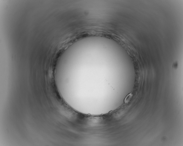 X0000091930711200709051241