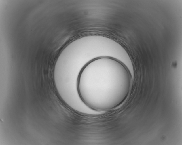 X0000091930712200709051241