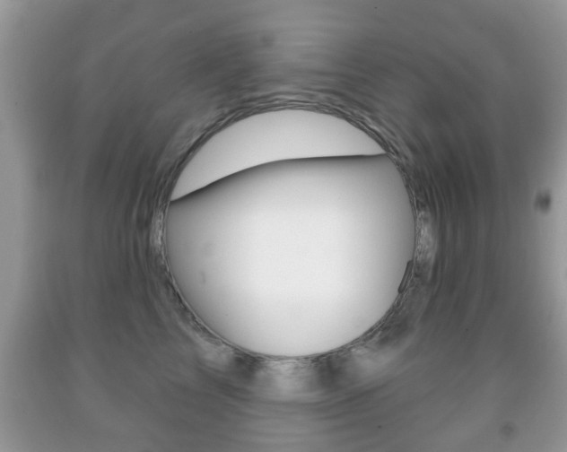 X0000091930713200709051241