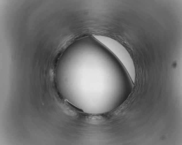 X0000091930716200709051241