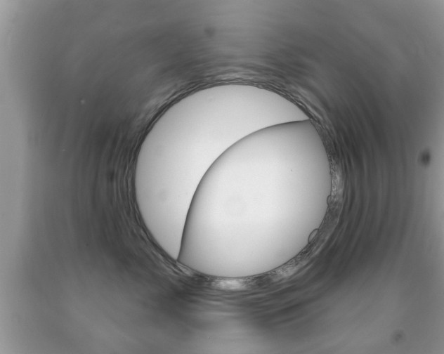 X0000091930717200709051241