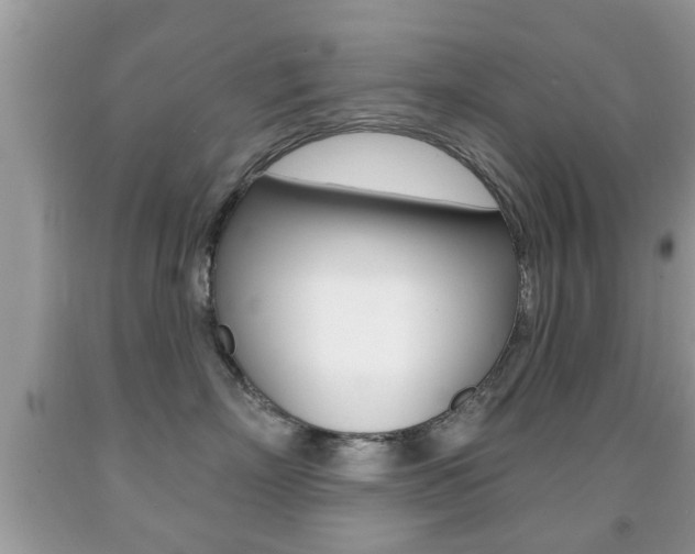 X0000091930718200709051241