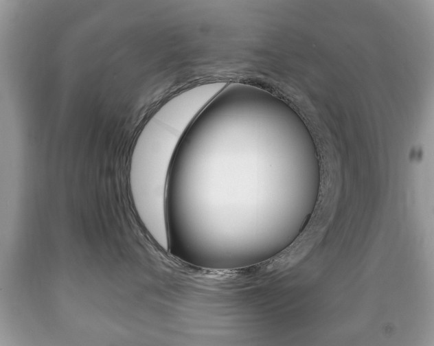 X0000091930720200709051241