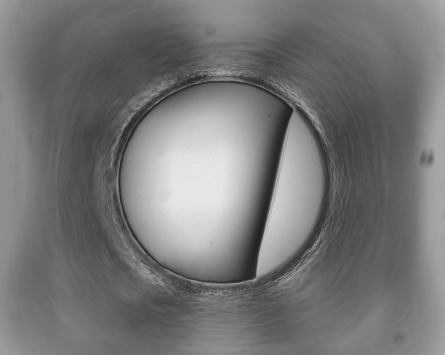 X0000091930721200709051240