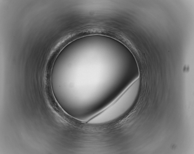 X0000091930722200709051240