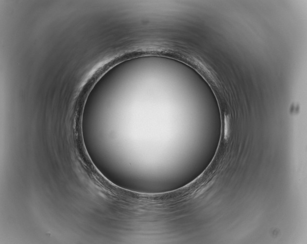 X0000091930723200709051240