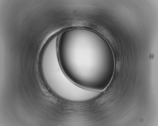 X0000091930724200709051240