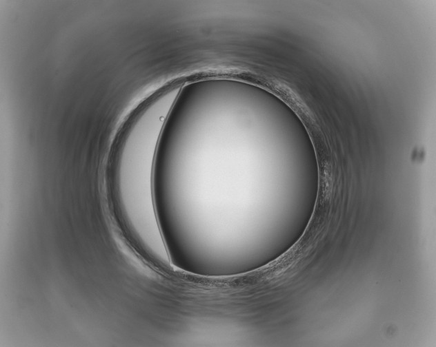 X0000091930726200709051240