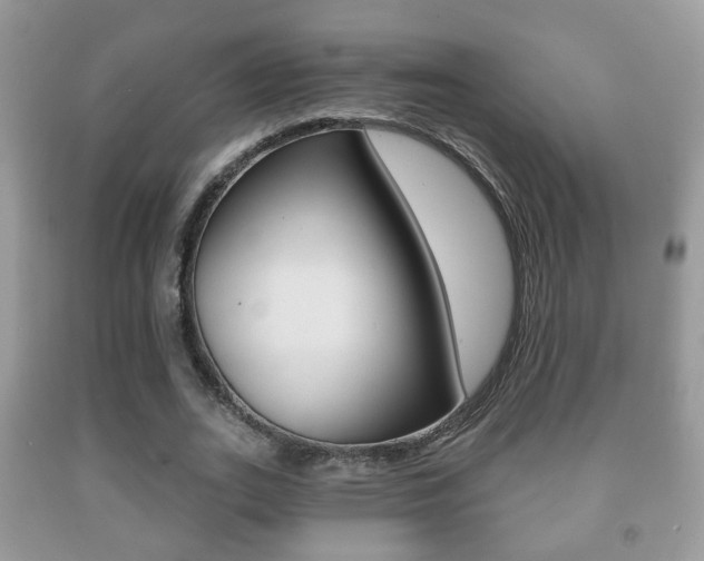 X0000091930727200709051240