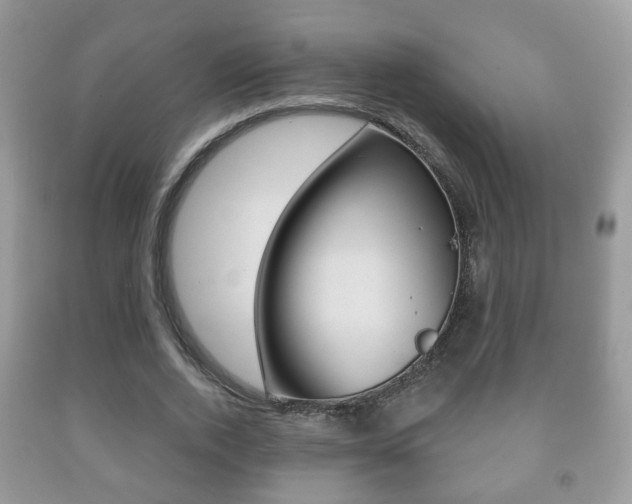 X0000091930728200709051240