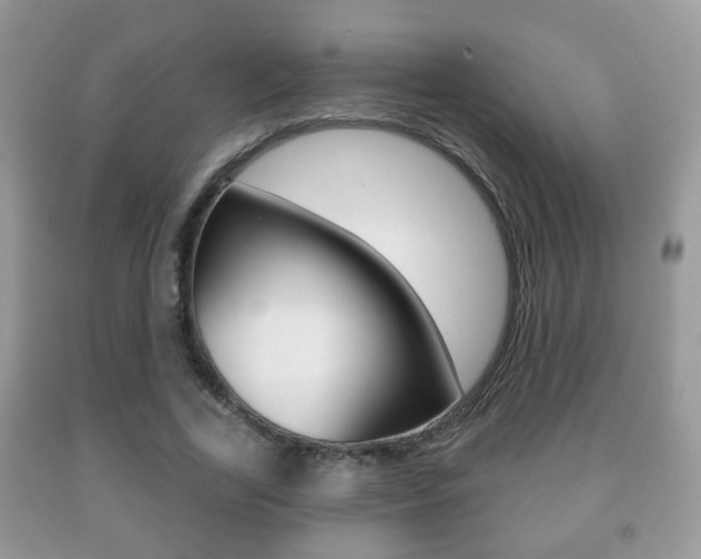 X0000091930731200709051240