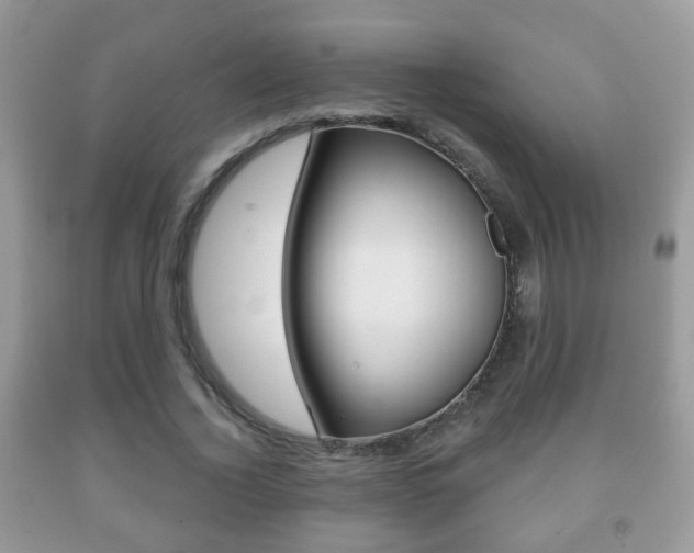 X0000091930732200709051240