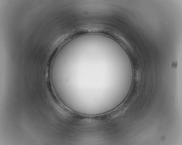 X0000091930733200709051240