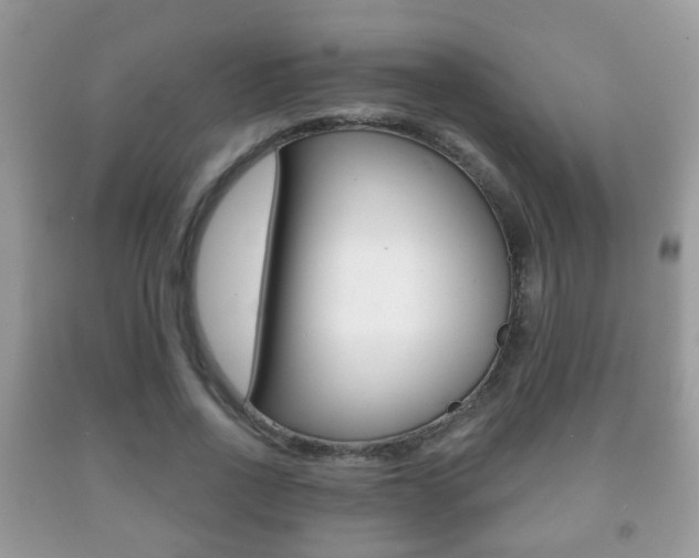 X0000091930734200709051240