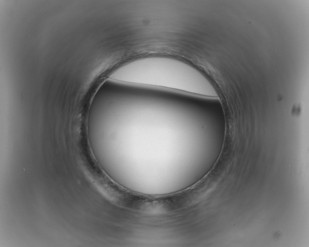 X0000091930735200709051240