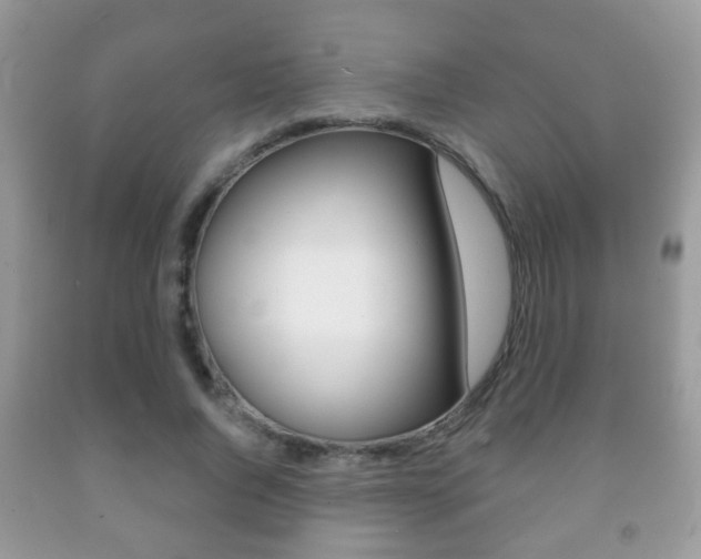 X0000091930736200709051240