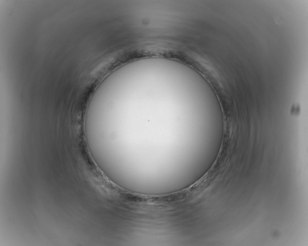 X0000091930737200709051240