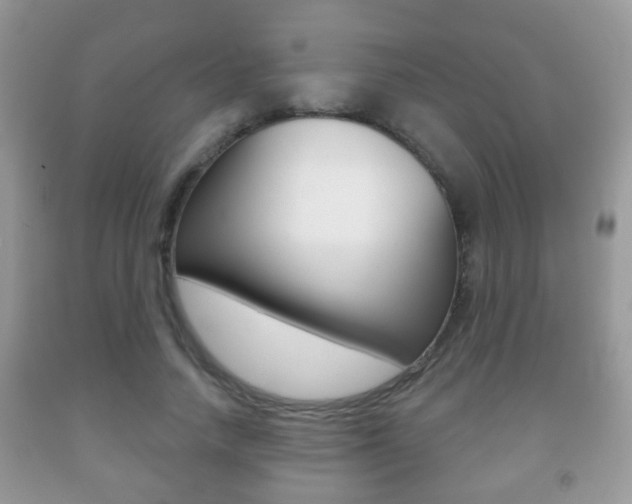 X0000091930738200709051240