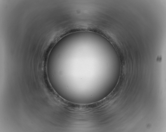 X0000091930739200709051240