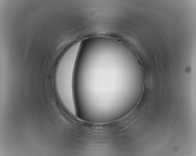 X0000091930740200709051240