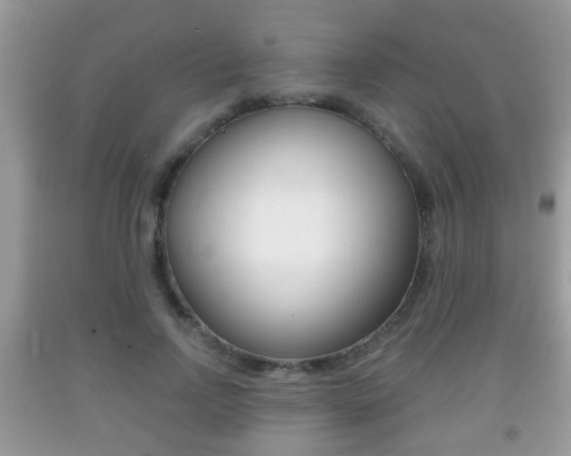 X0000091930742200709051240