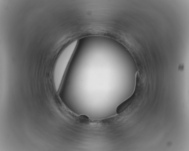 X0000091930744200709051240