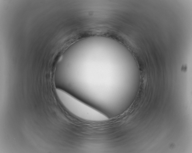 X0000091930745200709051241