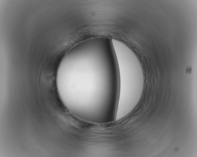 X0000091930747200709051241