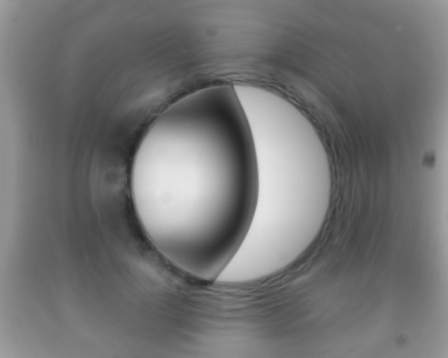 X0000091930748200709051241