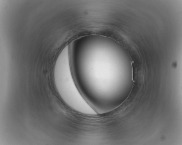X0000091930750200709051241