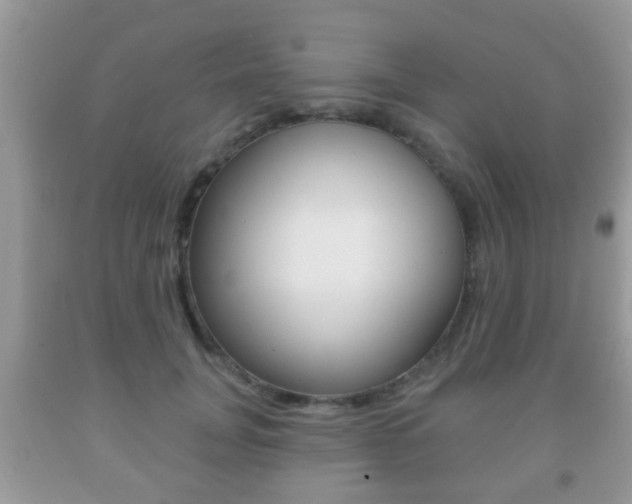 X0000091930751200709051241