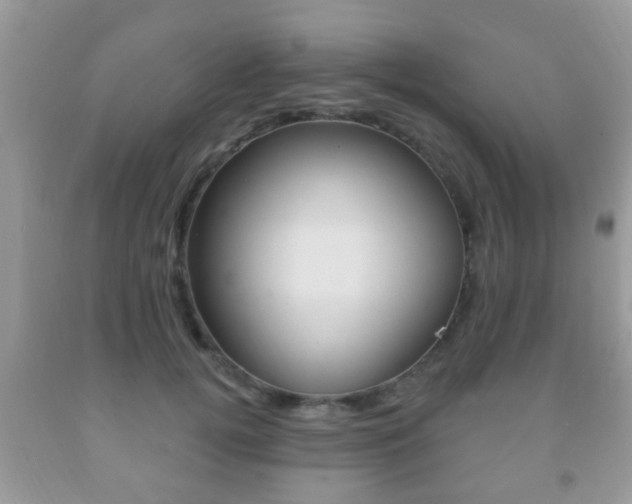 X0000091930752200709051241