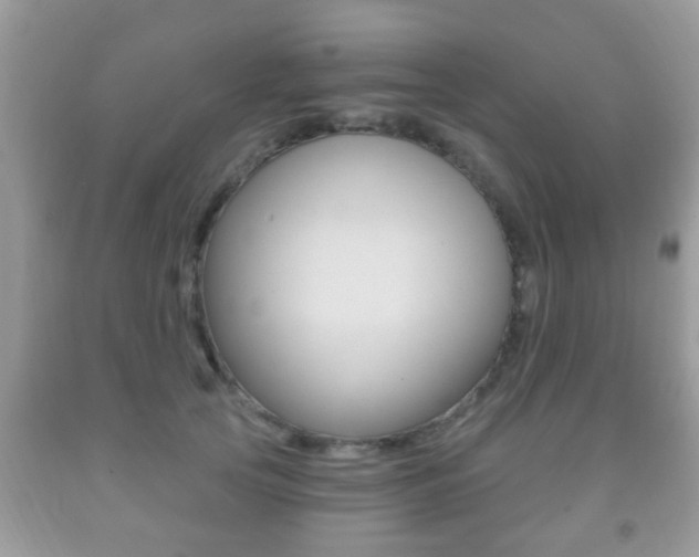 X0000091930753200709051241