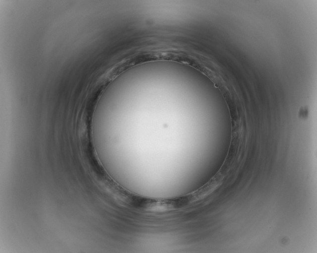 X0000091930754200709051241