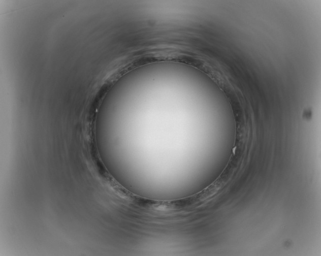 X0000091930755200709051241