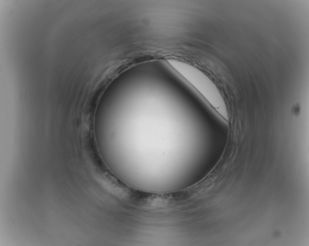 X0000091930756200709051241