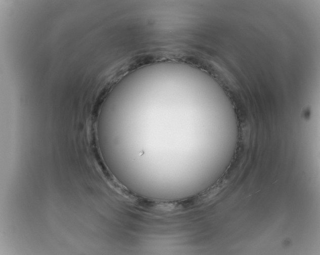 X0000091930757200709051241