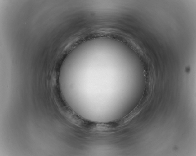 X0000091930758200709051241