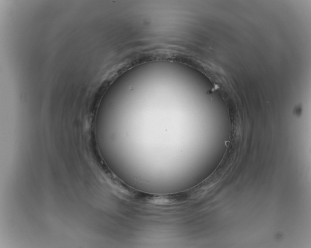 X0000091930759200709051241