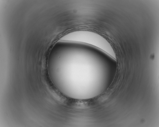 X0000091930760200709051241