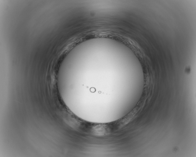 X0000091930761200709051241