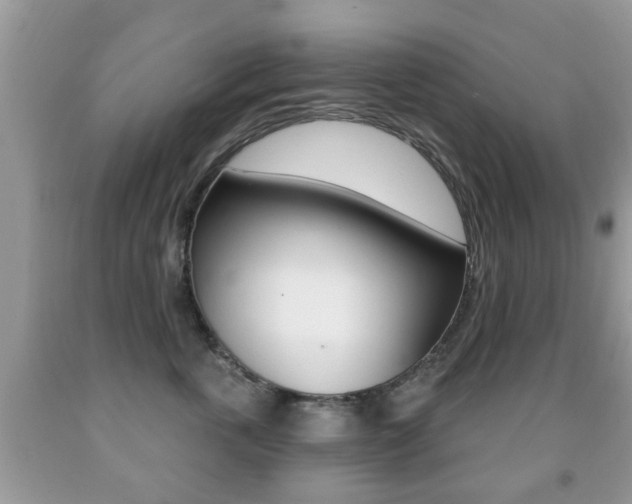 X0000091930763200709051241