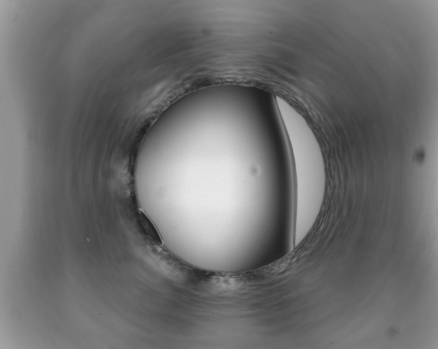 X0000091930764200709051241