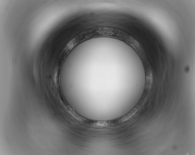 X0000091930765200709051241