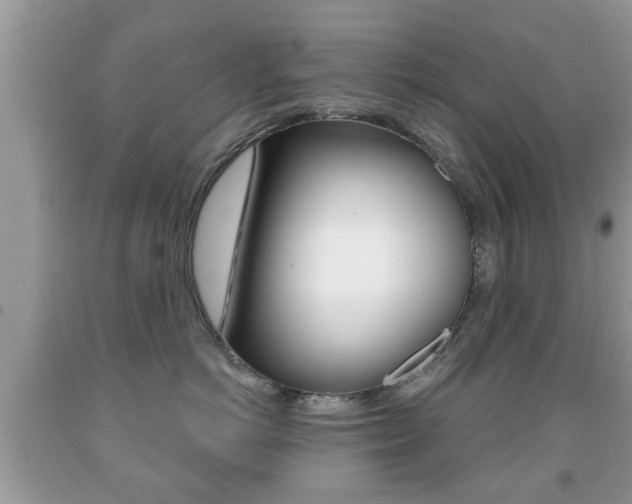 X0000091930766200709051241
