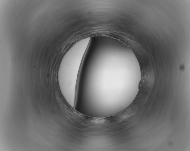 X0000091930767200709051241