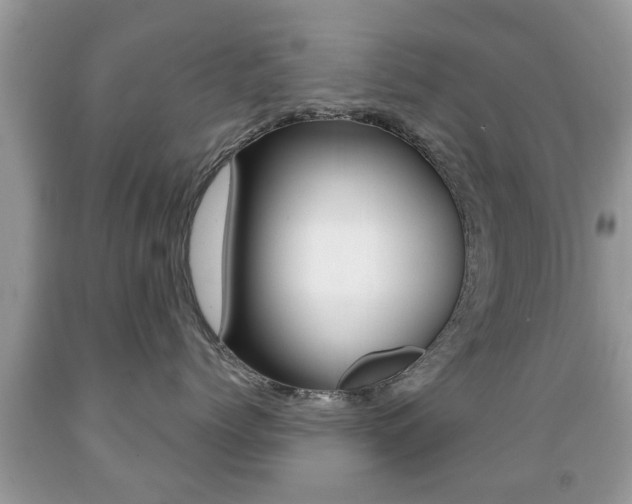 X0000091930768200709051241